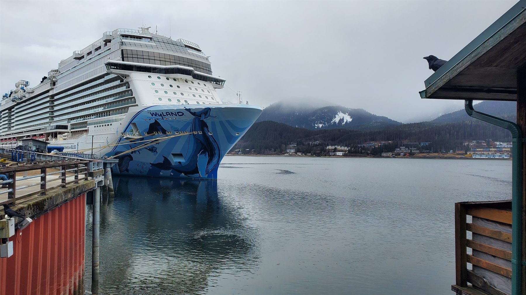 Norwegian Bliss docked at a misty Southeast Alaska port with forested mountains across the channel